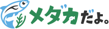 Medakadayo