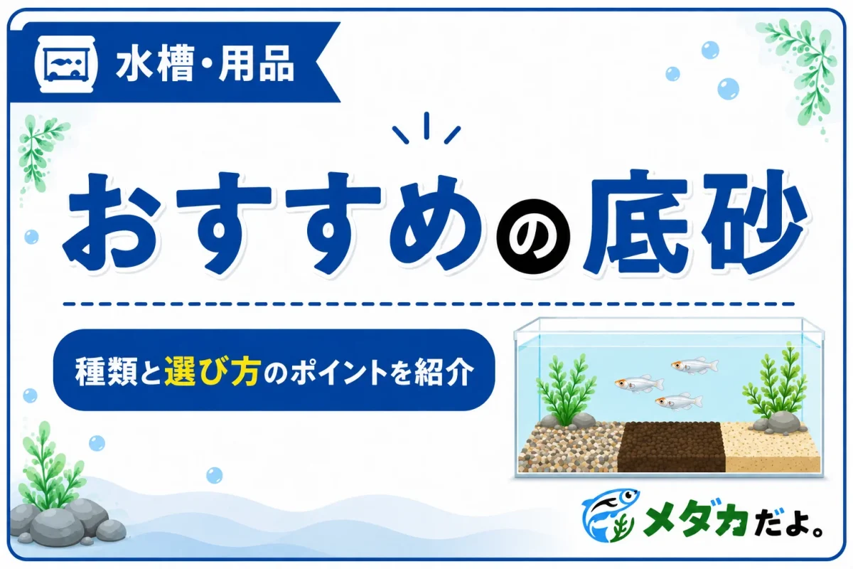 メダカにおすすめの底砂は？初心者向けに種類と選び方を紹介