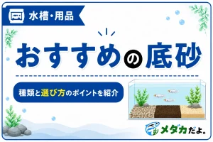 メダカにおすすめの底砂は？初心者向けに種類と選び方を紹介