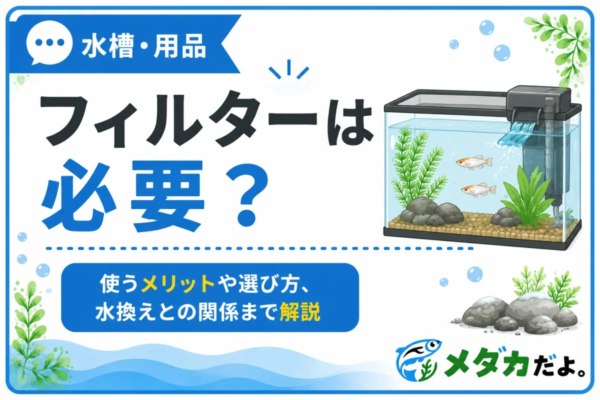 メダカにフィルターは必要？使うメリットと選び方を解説