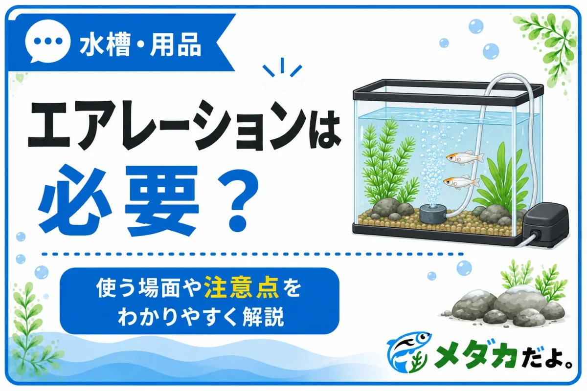 メダカにエアレーションは必要？使ったほうがよい場面と注意点