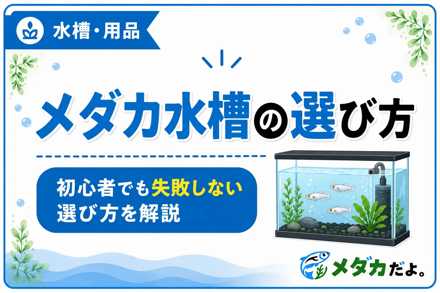 メダカ水槽の選び方｜初心者でも失敗しないポイントを解説