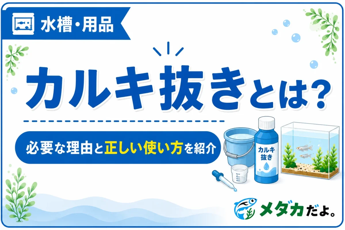 カルキ抜きとは？メダカ飼育で必要な理由と正しい使い方
