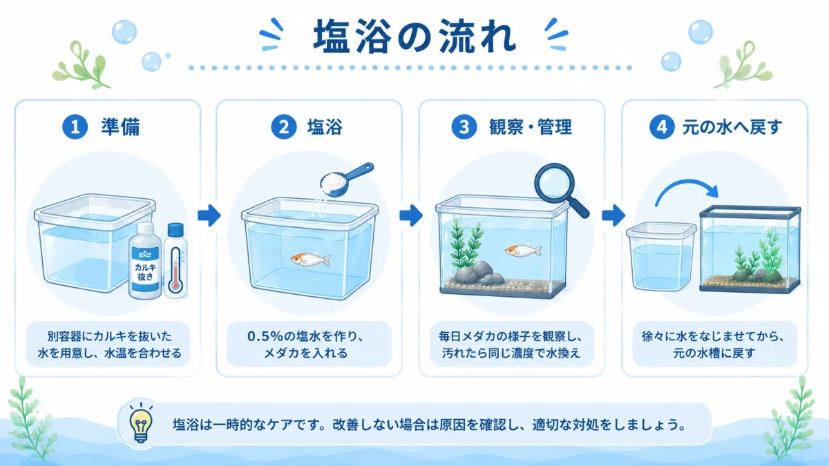 メダカを塩浴させてから元の水槽へ戻すまでの流れ