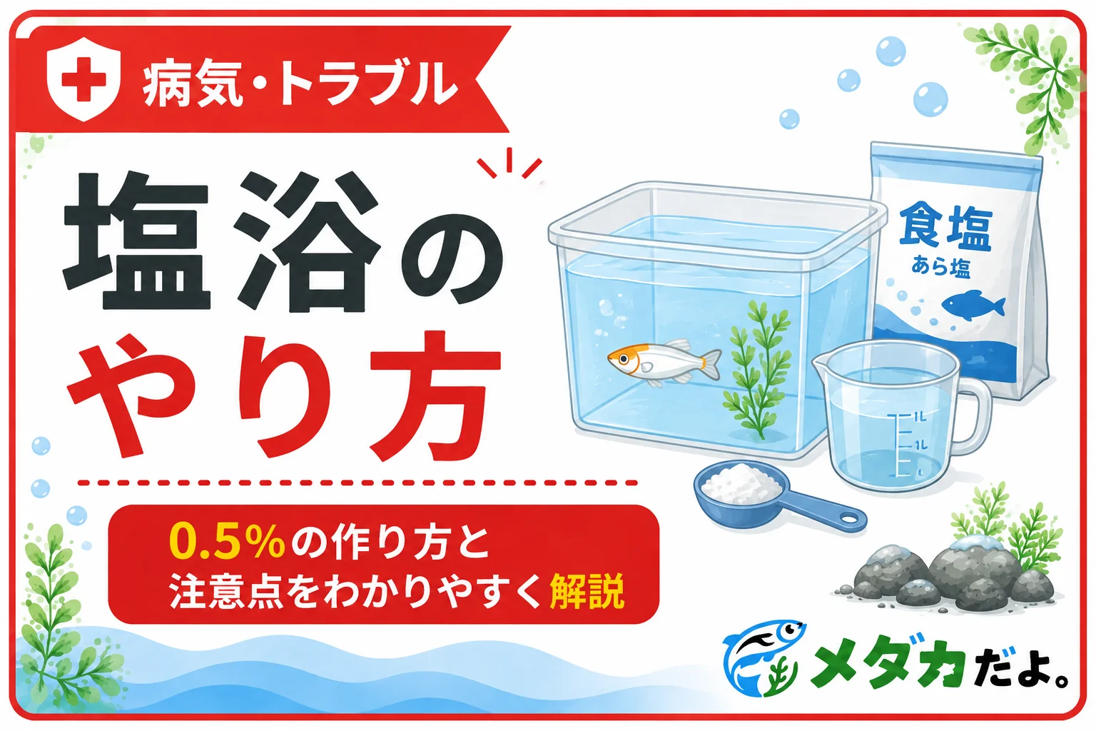 メダカの塩浴のやり方|0.5%の作り方と注意点を解説