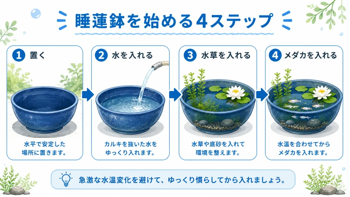 メダカを睡蓮鉢で飼い始める準備の流れ