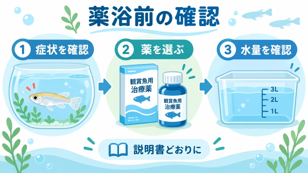 メダカの薬浴前に症状と薬と水量を確認する流れ