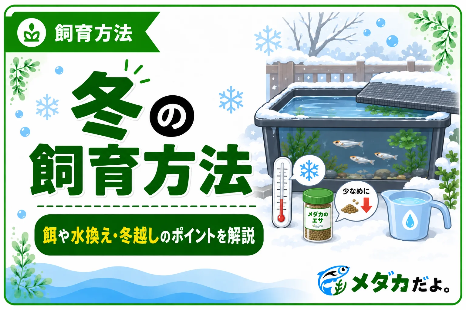 メダカの冬の飼育方法｜餌や水換えで注意したいポイント