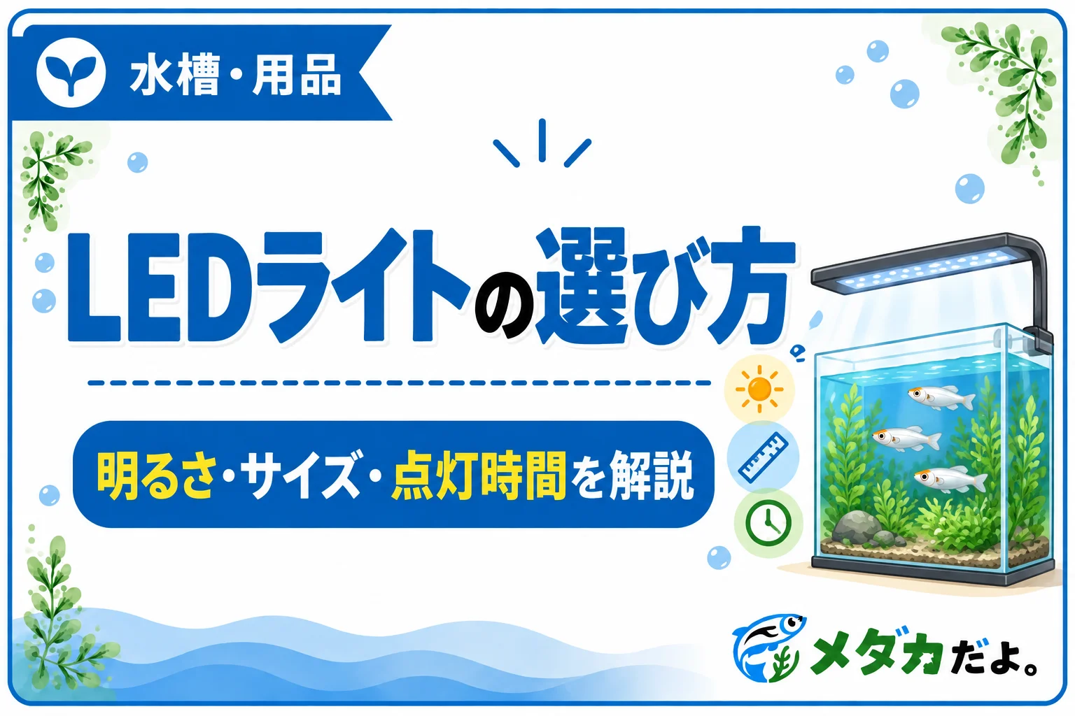 メダカのLEDライトの選び方｜明るさと点灯時間のポイント