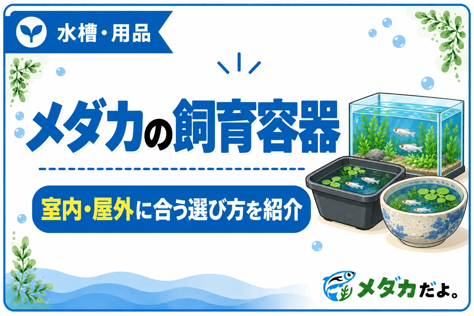 メダカの飼育容器はどれがおすすめ？室内・屋外別の選び方