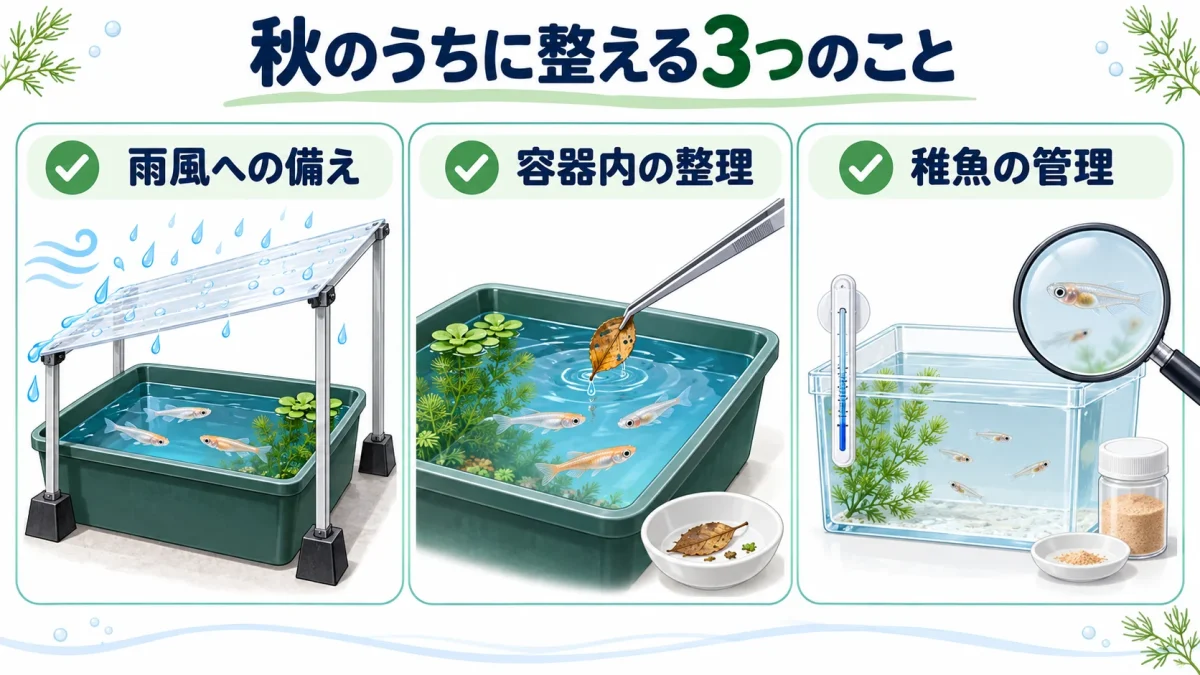秋のうちに雨風への備え、容器内の整理、稚魚の飼育環境を確認する図