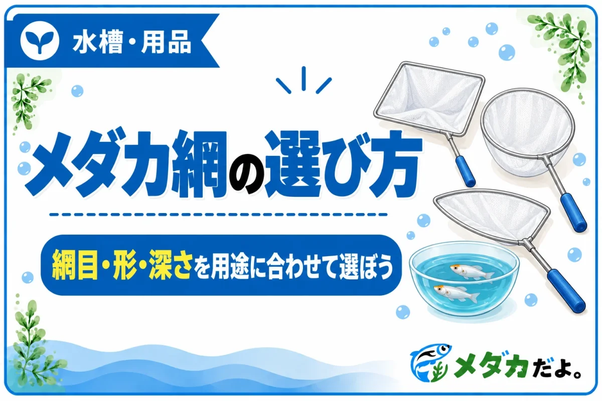 メダカ網の選び方｜網目・形・深さを用途に合わせて選ぶ