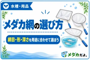 メダカ網の選び方｜網目・形・深さを用途に合わせて選ぶ